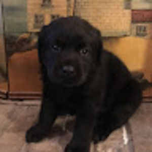 Meet your Posher, Val